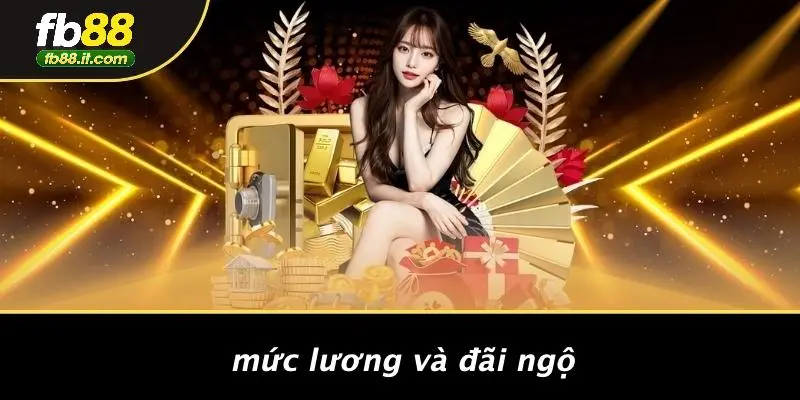 Mức Lương Và Đãi Ngộ